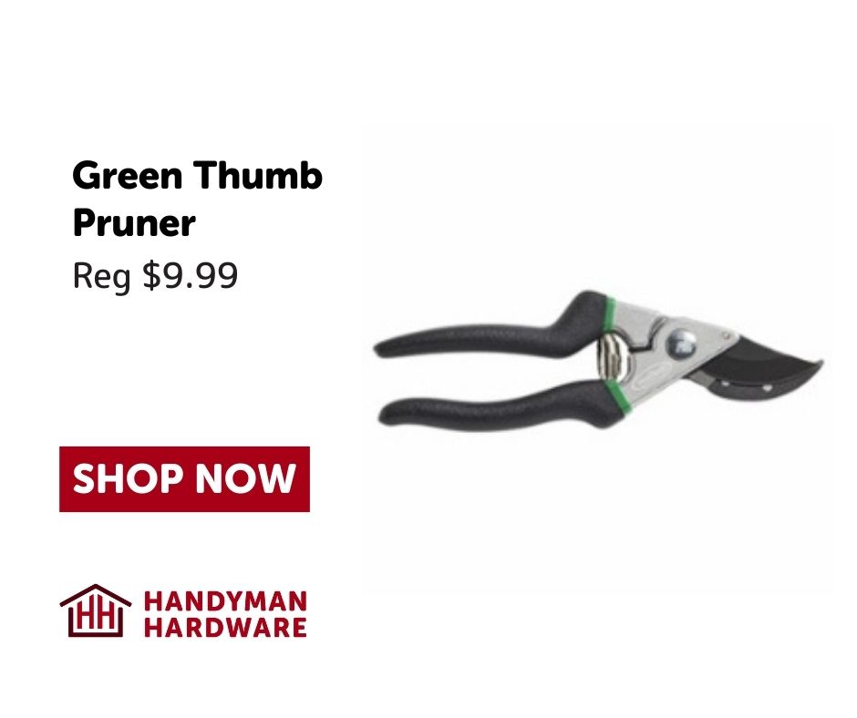 Pruning Snips
